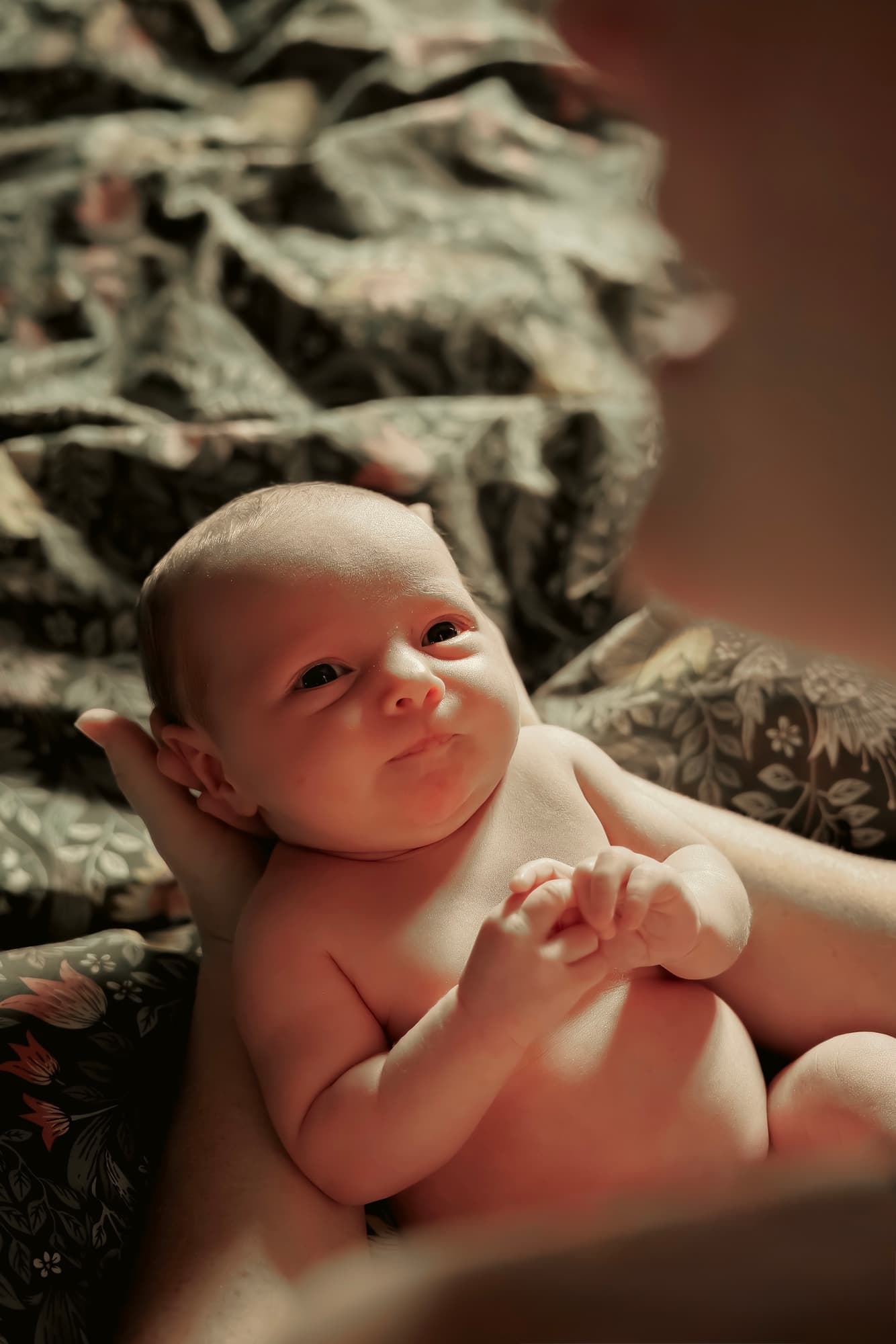 A wide-eyed fresh newborn cradled in a hand, gazing up